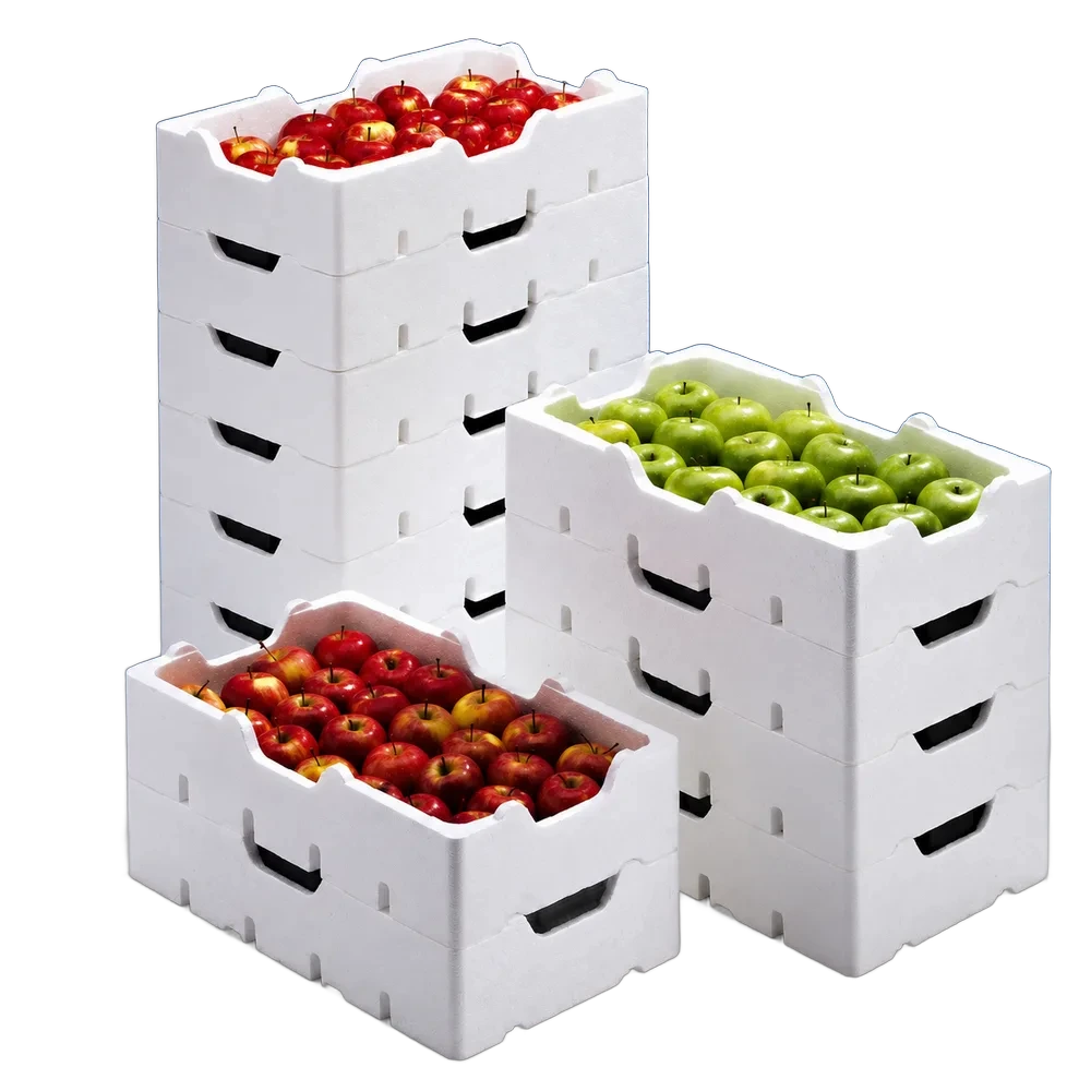 Fruit Packaging EPS Tray Line — Multi-Cavity Mold System