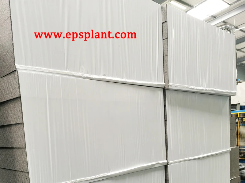 SPLB1200 EPS Packing Machine view 2